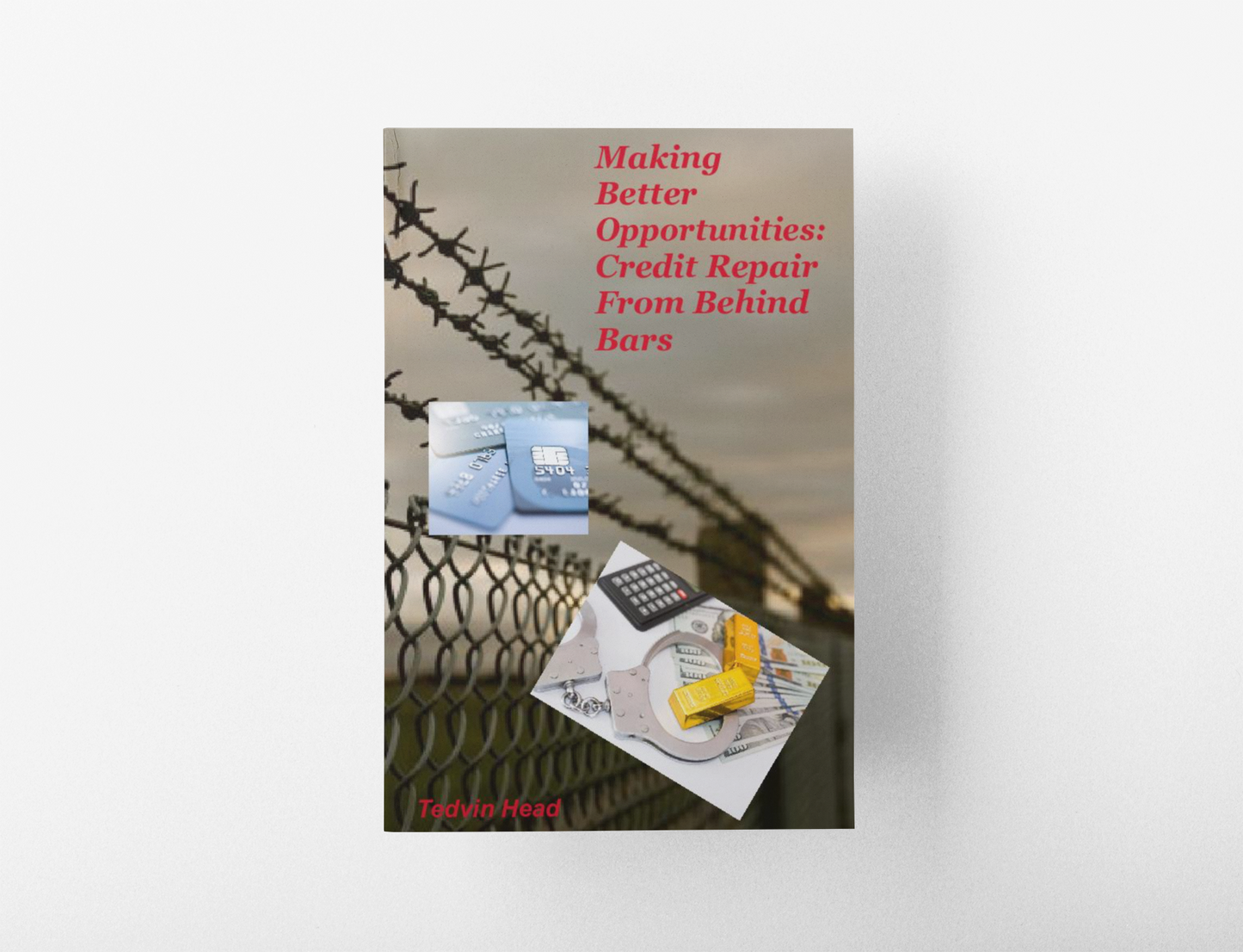 Credit Repair from Behind Bars